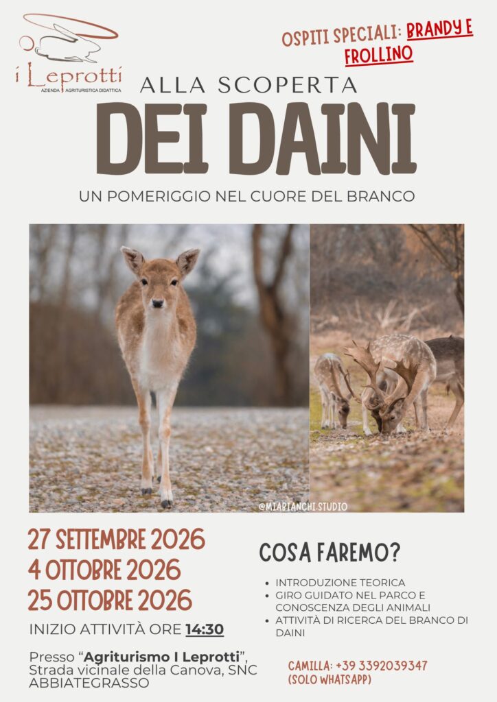 Incontra Frollino e Brandy all'Agriturismo I Leprotti